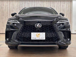 LEXUS RX500h