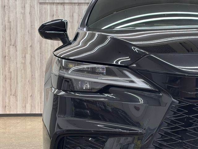 LEXUS RX500h