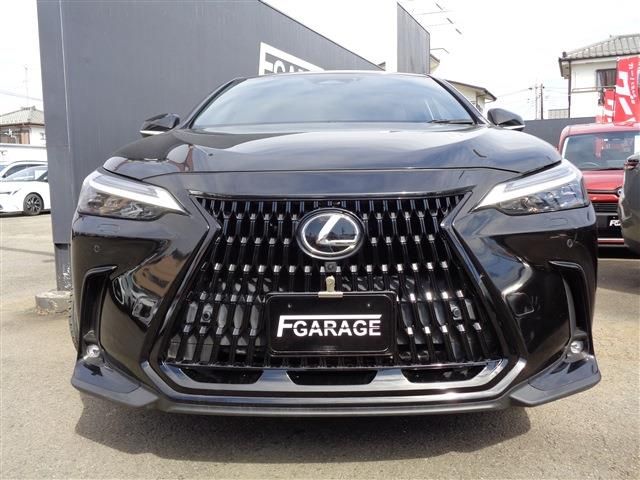 LEXUS NX350h