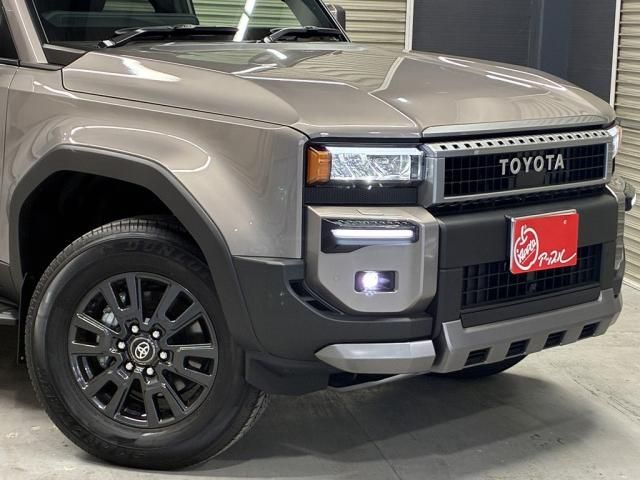 LANDCRUISER 250