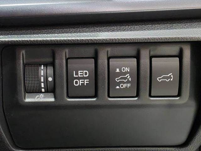 LEVORG LAYBACK