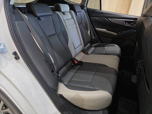 LEVORG LAYBACK