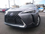 LEXUS UX250h