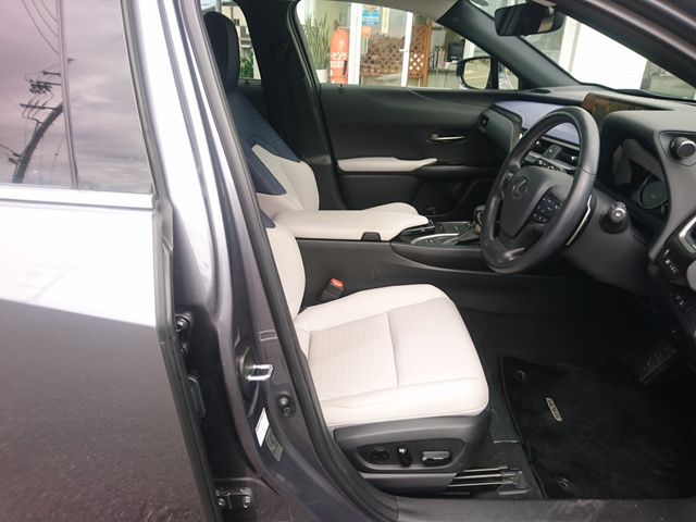 LEXUS UX250h