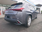 LEXUS UX250h