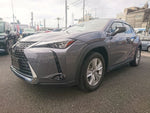 LEXUS UX250h