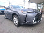 LEXUS UX250h
