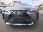 LEXUS UX250h