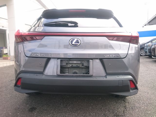 LEXUS UX250h