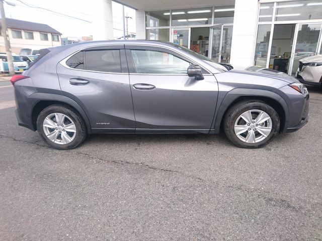 LEXUS UX250h