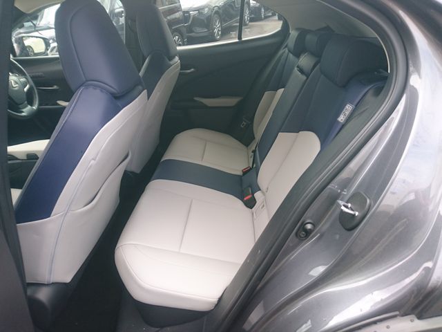 LEXUS UX250h