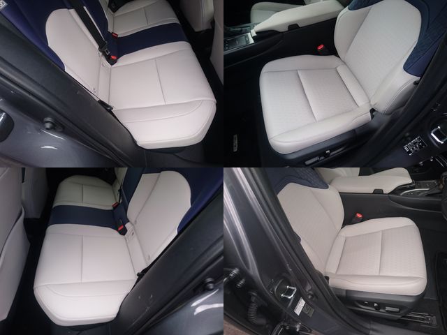 LEXUS UX250h