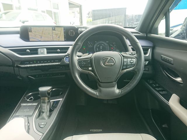 LEXUS UX250h