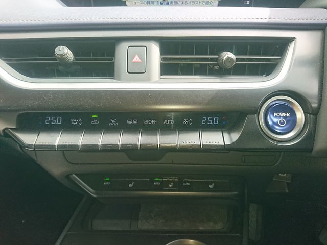 LEXUS UX250h