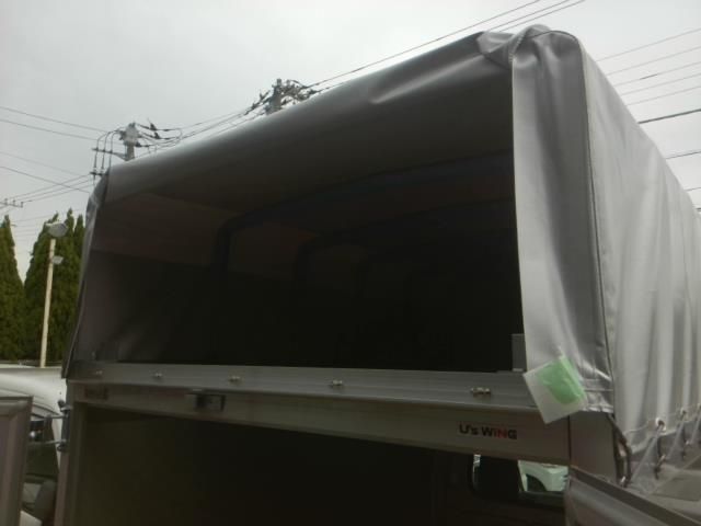 CARRY truck