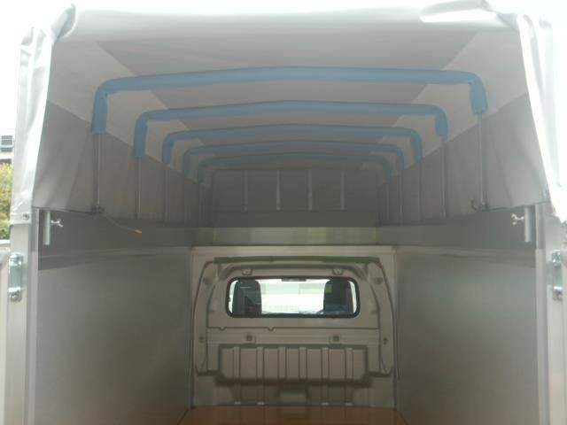 CARRY truck