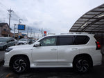 LANDCRUISER PRADO
