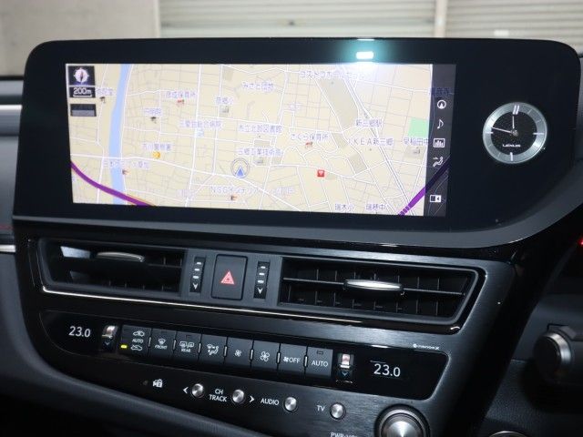 LEXUS ES300h