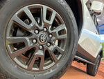 LANDCRUISER 250