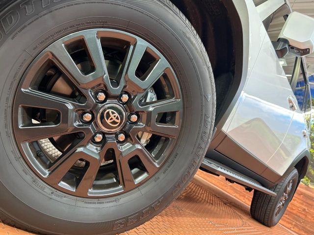 LANDCRUISER 250