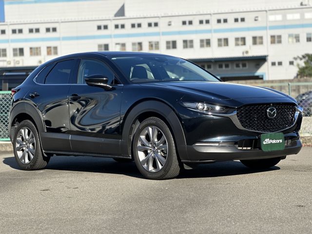 CX-30