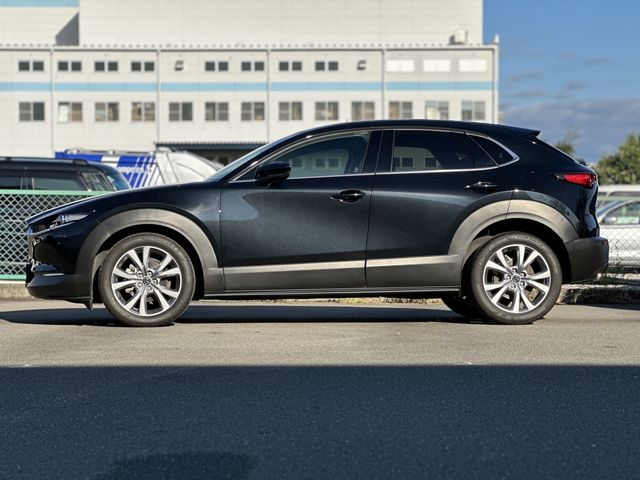 CX-30