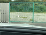 MERCEDES BENZ C class sedan