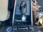 RAIZE HYBRID