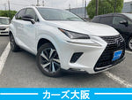 LEXUS NX300h