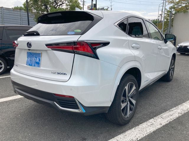 LEXUS NX300h