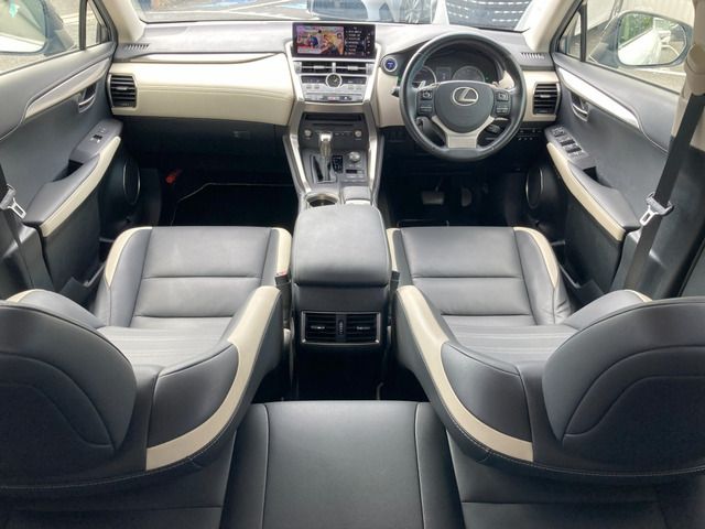 LEXUS NX300h