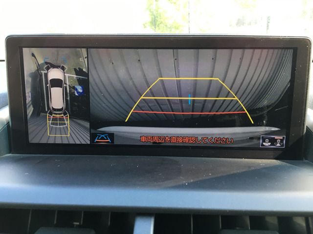 LEXUS NX300h