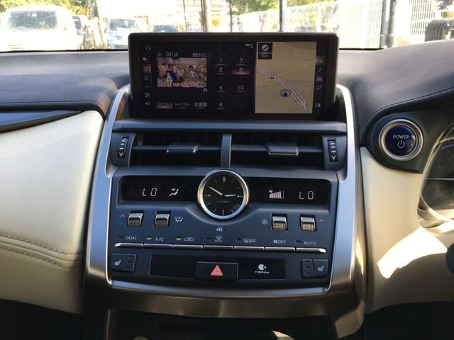 LEXUS NX300h
