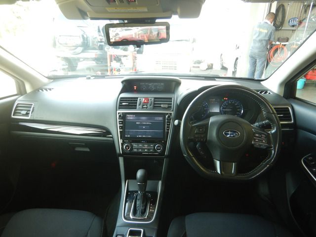 LEVORG