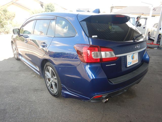 LEVORG