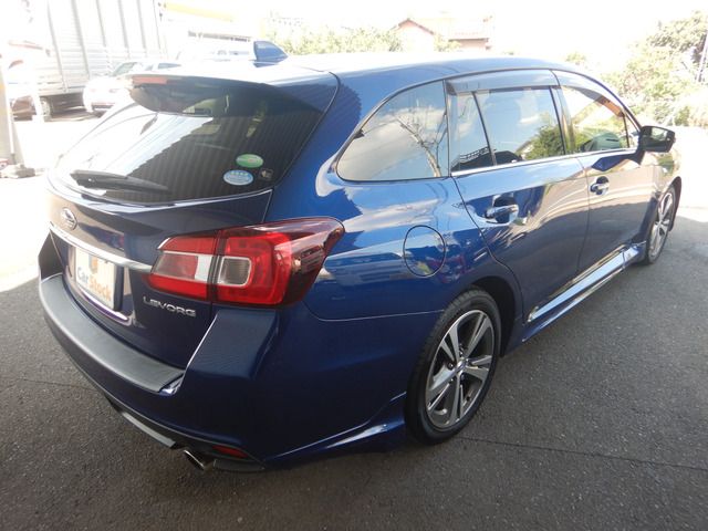 LEVORG