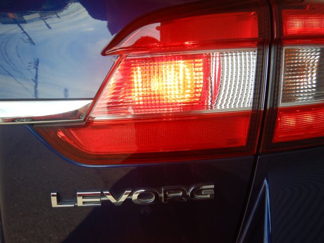 LEVORG