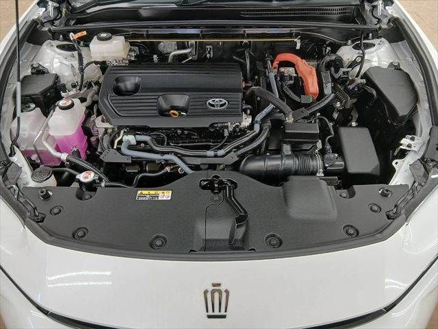 CROWN SPORT