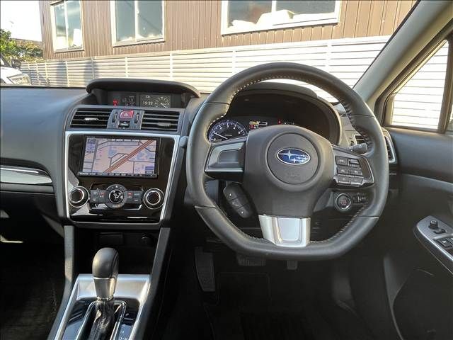 LEVORG