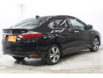 GRACE HYBRID