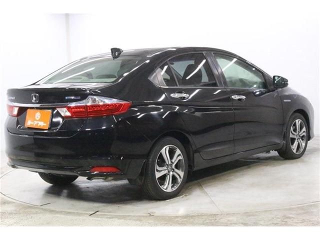 GRACE HYBRID