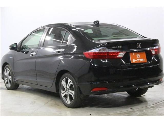 GRACE HYBRID