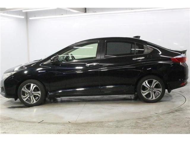 GRACE HYBRID