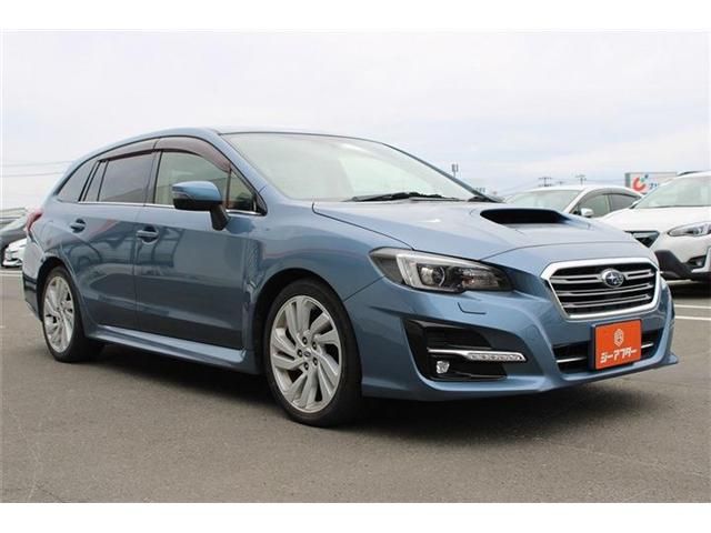 LEVORG