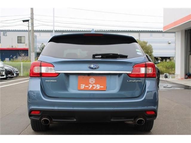 LEVORG