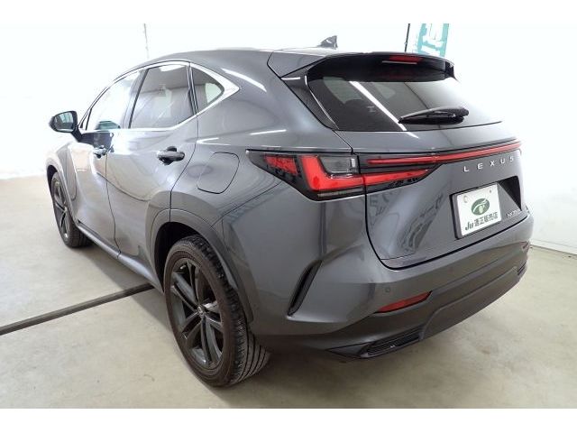 LEXUS NX350h