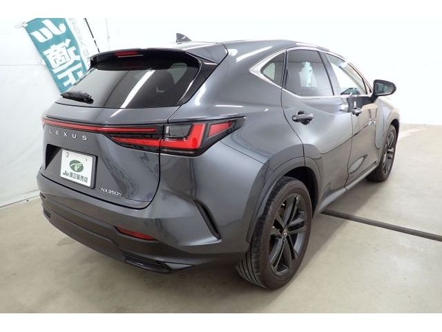 LEXUS NX350h
