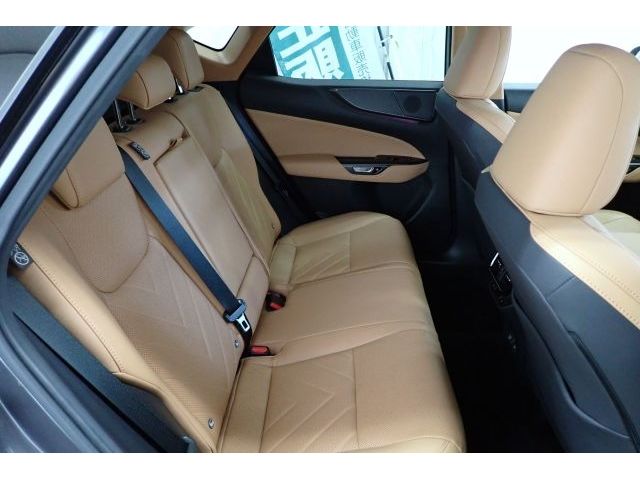 LEXUS NX350h
