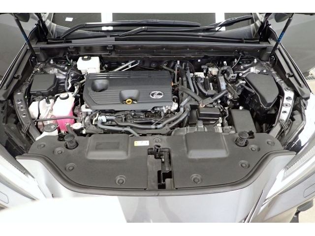 LEXUS NX350h