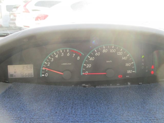 BELTA